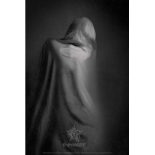 Arvin-010